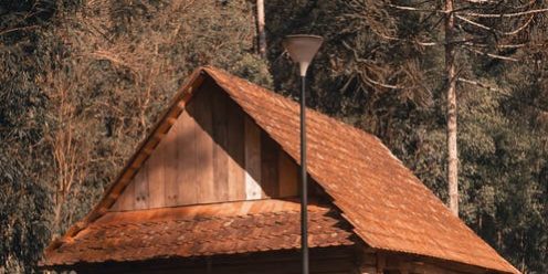 Understanding Tree Removal